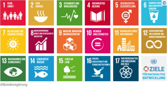 Die Agenda 2030 mit ihren 17 Zielen für nachhaltige Entwicklung (Sustainable Development Goals, SDGs) der UN