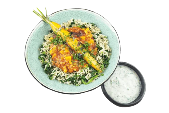 Veganes Tellergericht mit Reis 