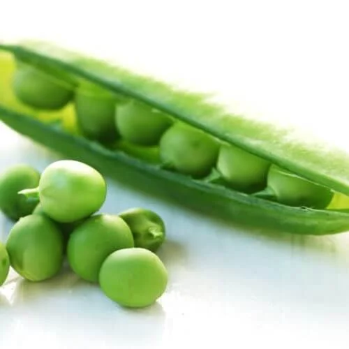 grüne Erbsen und eine Erbsenschote