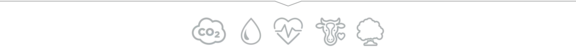 Ein Bild mit fünf graue Icons aneinander gereiht, beginnend mit Co2 Wolke, Wassertropfen, Herz, Tierkopf und Baum