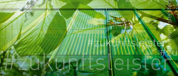 Ein Bild von grünen Pflanzen und vielen Bäumen im Hintergrund, auf dem Bild ist oft der Schriftzug: #zukunftsleister