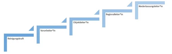Veranschaulichung der Karriereleiter im Fachbereich Cleaning. Beginnend und aufsteigend mit: Reinigungskraft: Vorarbeiter*in, Objektleiter*in, Reginalleiter*in und Niederlassungsleiter*in