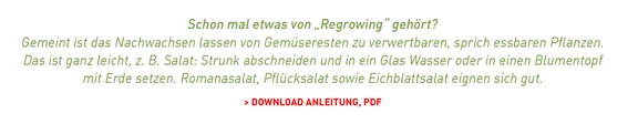 Text mit dem Titel "Schon mal etwas von Regrowing gehört?" - Gemeint ist das Nachwachsen lassen von Gemüseresten zu verwertbaren, sprich essbaren Pflanzen. Das ist ganz leicht, z.B. Salat: Strunk abschneiden und in ein Glas Wasser oder in einem Blumentopf mit Erde setzen. Romanasalat, Pflücksalat sowie Eichblattsalat eignen sich gut.