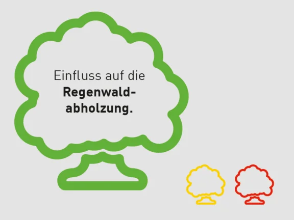 Illustration eines grünen Baumes mit der Innenschrift Einfluss auf die Regenwald abholzung und zwei kleinen Bäumen am Rand in den farben jeweils gelb und rot