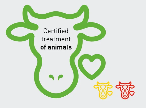 Illustration grünem Umriss von einem Kuh Kopf mit der innenschrift "Certified treatment of animals" und zwei kleinen Umrissen jeweils in gelb und rot