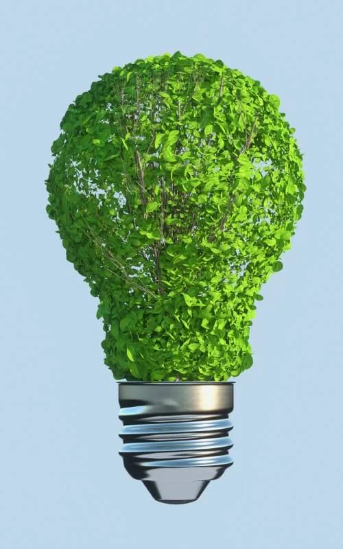 Veranschaulichung einer Glühbirne die statt aus Glass aus Grünen Blättern mit Ästen bestehen