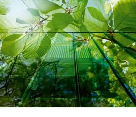 Ein Bild von grünen Pflanzen und Bäumen