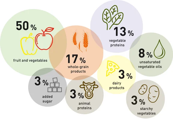 Illustration von bunten Kreisen und innerhalb der Kreise prozentual angegeben woraus sich eine optimale ernährung bildet: Obst und Gemüse 50%; Vollkornprodukte 17%; Pflanzliche Proteine 13%; Zugesetzter Zucker 3%; Tierische Proteine 3%;  Milchprodukte 3%; Stärkehaltiges Gemüse 3%