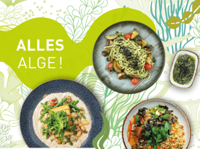 Aktionsbild zu "Alles Alge!" zeigt 4 Gerichte, welche mit Alge zubereitet ist