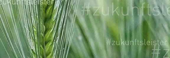 Ein Bild voller grünen Pflanten und den oft dem Schriftzug: #zukunftsleister