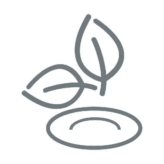 eine visuelle graue Skizze einer Pflanze mit 2 Blättern