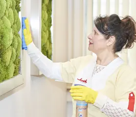 Eine weibliche Reinigungskraft wischt eine Wandfläche sauber.
